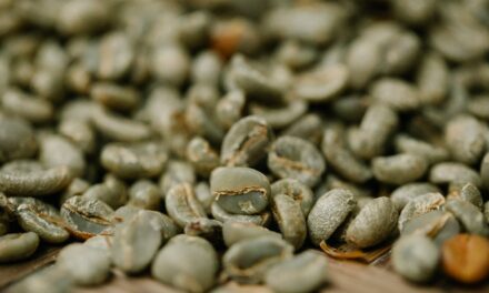 How to Start an Unroasted Coffee Business