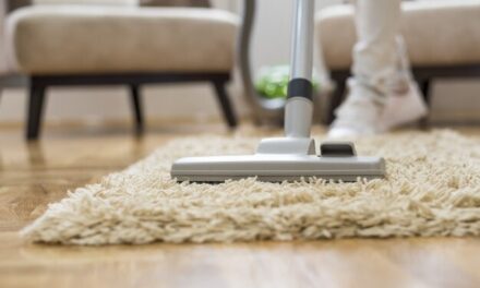 All You Need to Know About Carpet Cleaning in Manukau